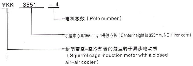 YKK系列(H355-1000)高压YR5602-6三相异步电机西安泰富西玛电机型号说明